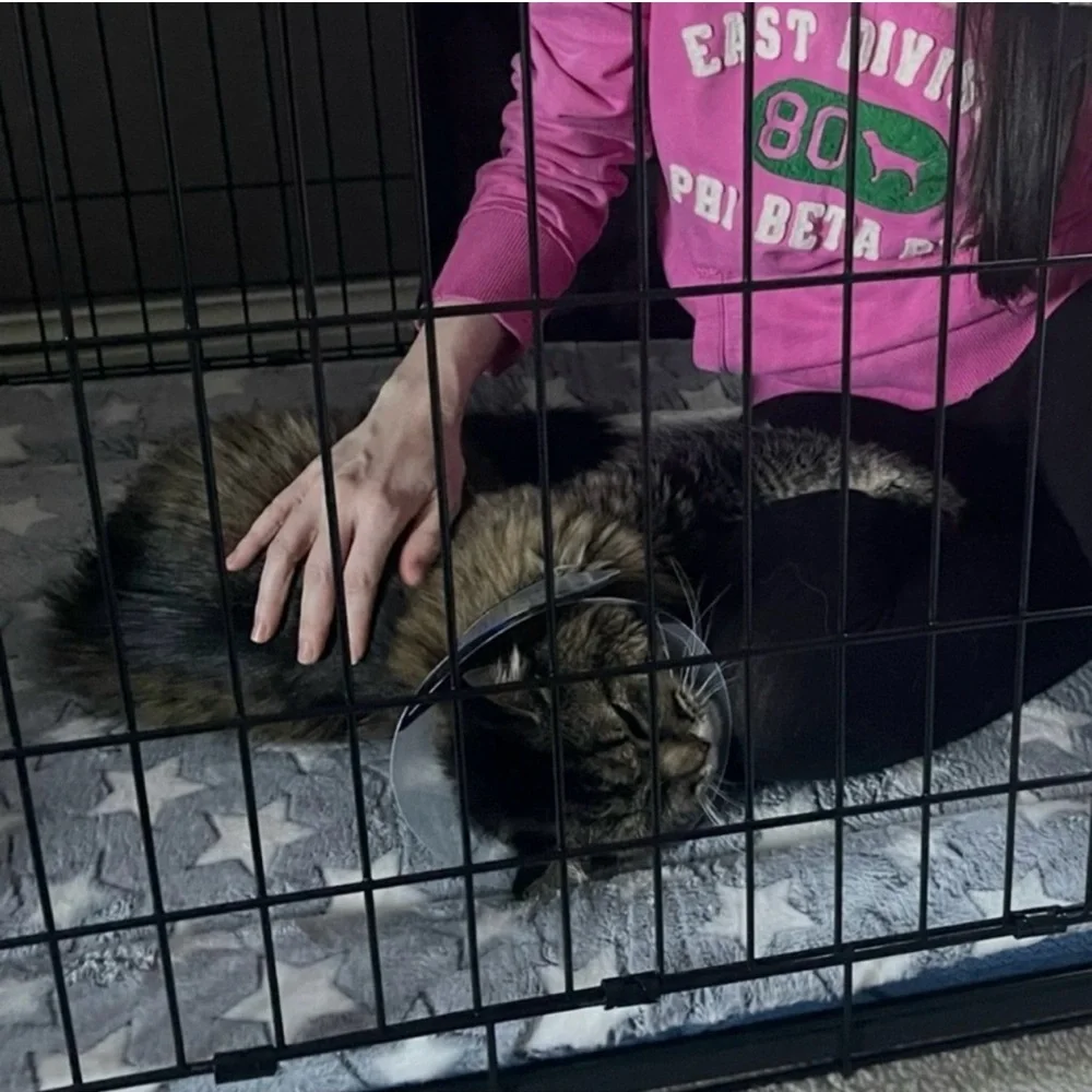 Pink Cut Out Jumpsuit - Picture 4 of 9